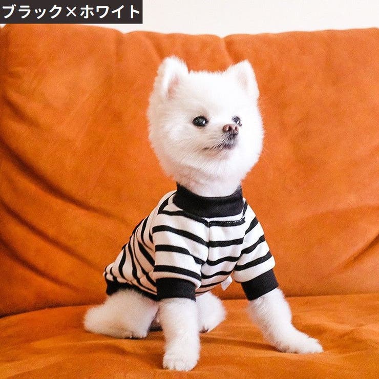 ペットウェア ドッグウェア キャットウェア | PlusNao | 詳細画像4 