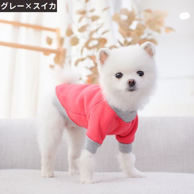 ペットウェア ドッグウェア キャットウェア | PlusNao | 詳細画像7 
