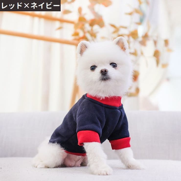 ペットウェア ドッグウェア キャットウェア | PlusNao | 詳細画像8 