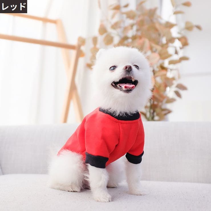 ペットウェア ドッグウェア キャットウェア | PlusNao | 詳細画像9 