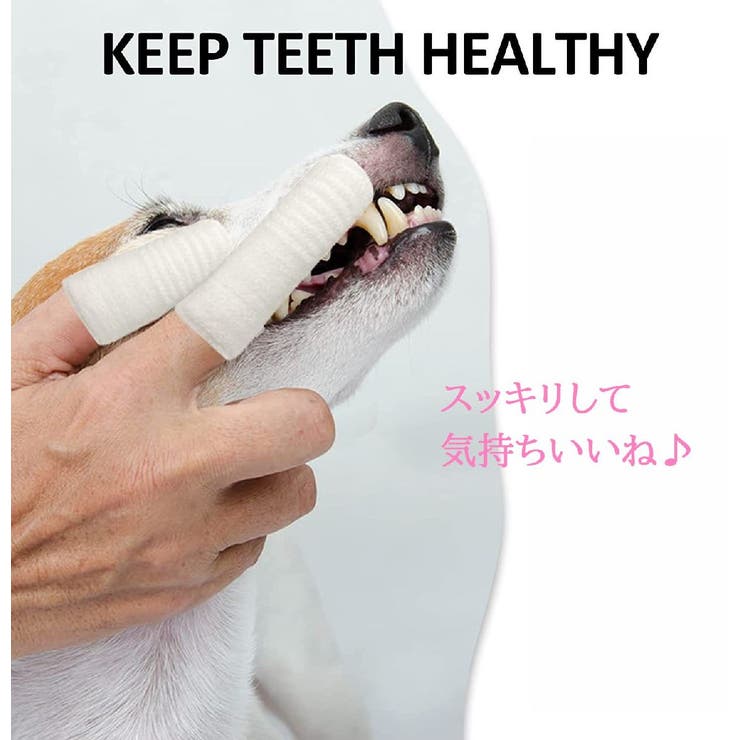 ペット用 歯ブラシ デンタルケア | PlusNao | 詳細画像2 