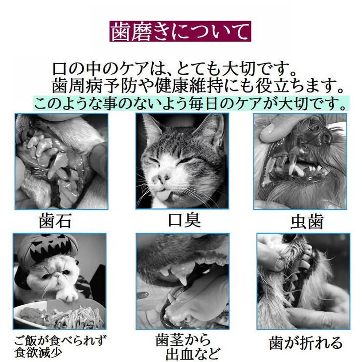ペット用 歯ブラシ デンタルケア | PlusNao | 詳細画像9 