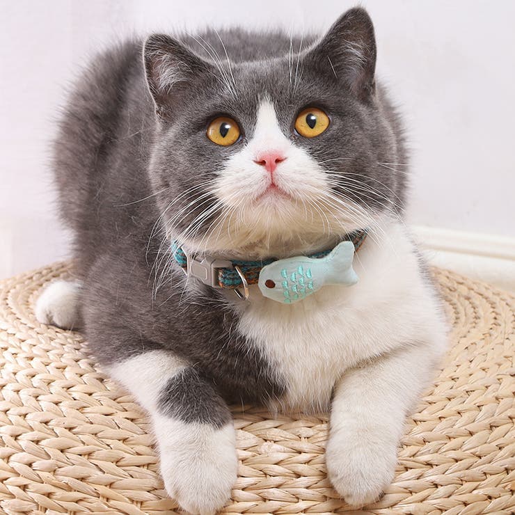 首輪 カラー ペット用チョーカー | PlusNao | 詳細画像2 