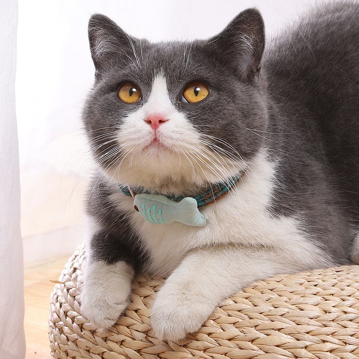 首輪 カラー ペット用チョーカー | PlusNao | 詳細画像6 