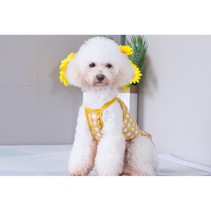 ペットウェア キャミソール 犬 | PlusNao | 詳細画像6 