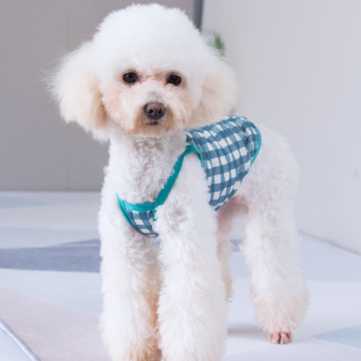 ペットウェア キャミソール 犬 | PlusNao | 詳細画像9 