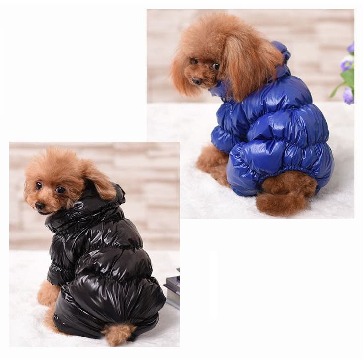 ドッグウェア 犬服 ペット服 | PlusNao | 詳細画像4 