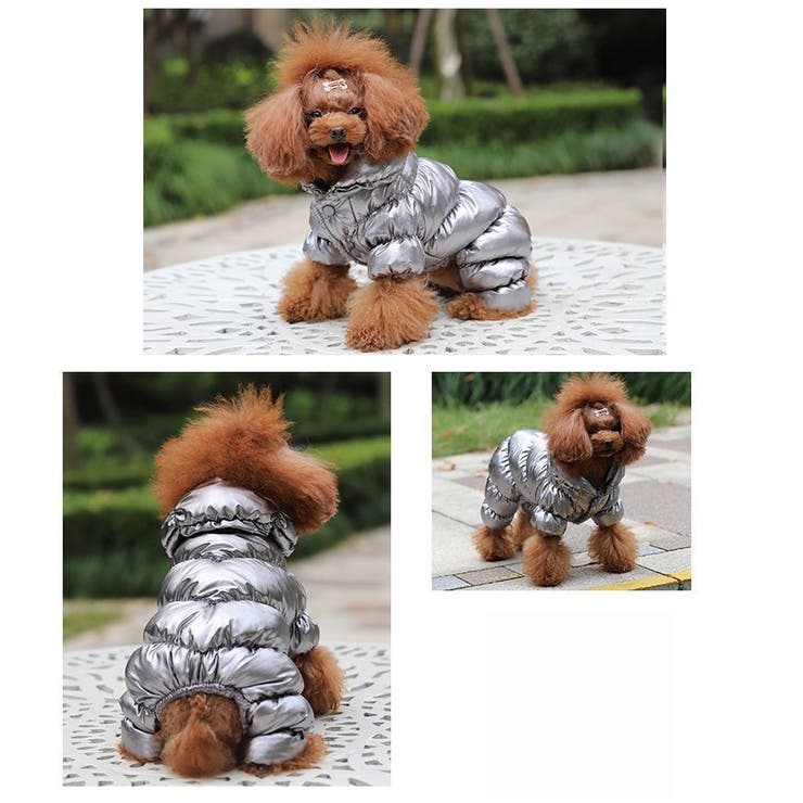 ドッグウェア 犬服 ペット服 | PlusNao | 詳細画像6 