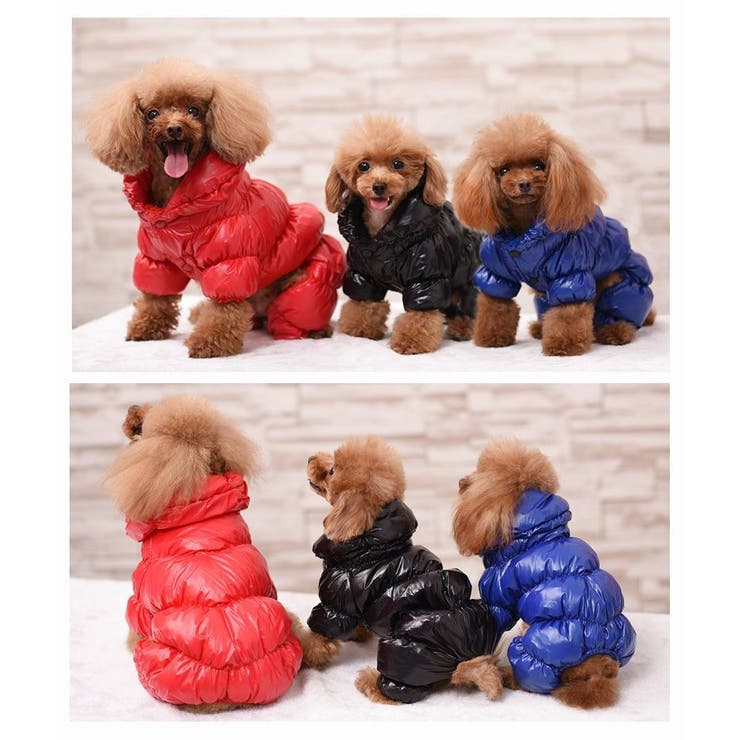 ドッグウェア 犬服 ペット服 | PlusNao | 詳細画像9 