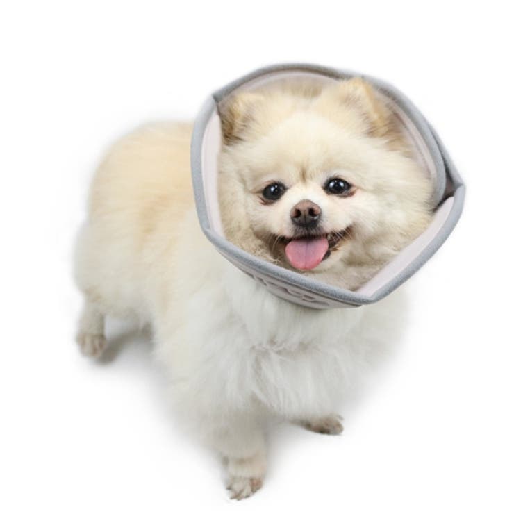 エリザベスカラー 犬用 小型犬 | PlusNao | 詳細画像3 