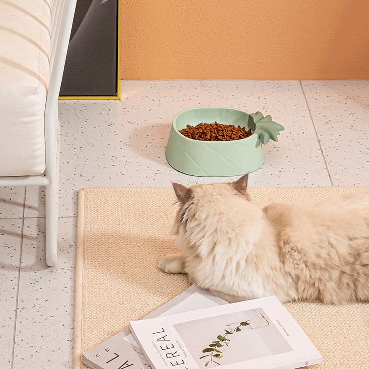 フードボウル ペット 猫用 | PlusNao | 詳細画像2 