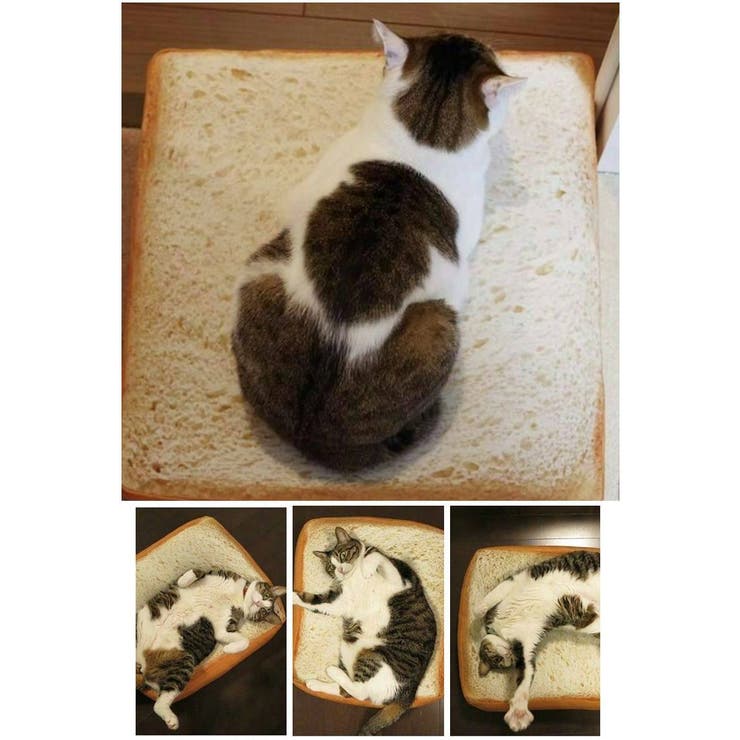 猫用クッション ペット用クッション 猫用ベッド | PlusNao | 詳細画像3 