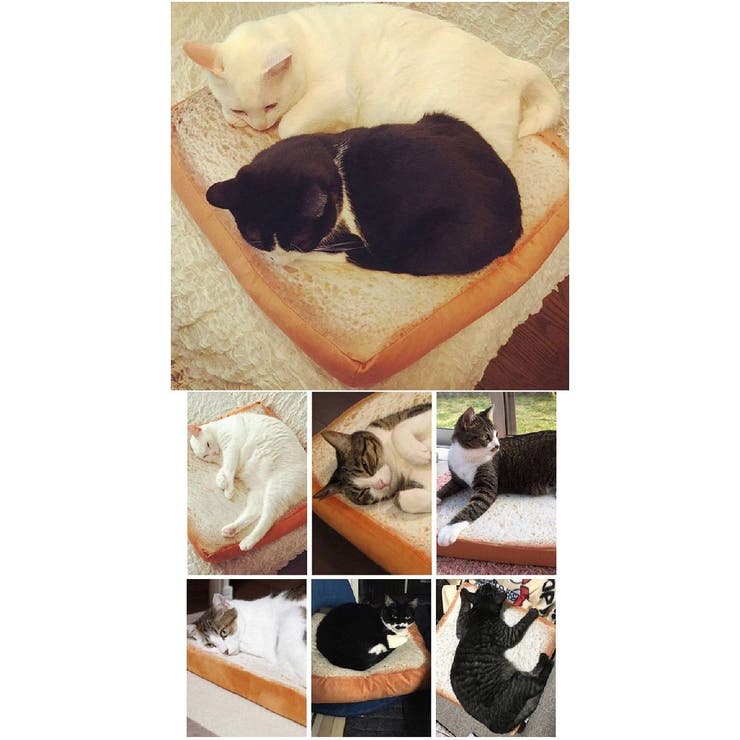 猫用クッション ペット用クッション 猫用ベッド | PlusNao | 詳細画像5 