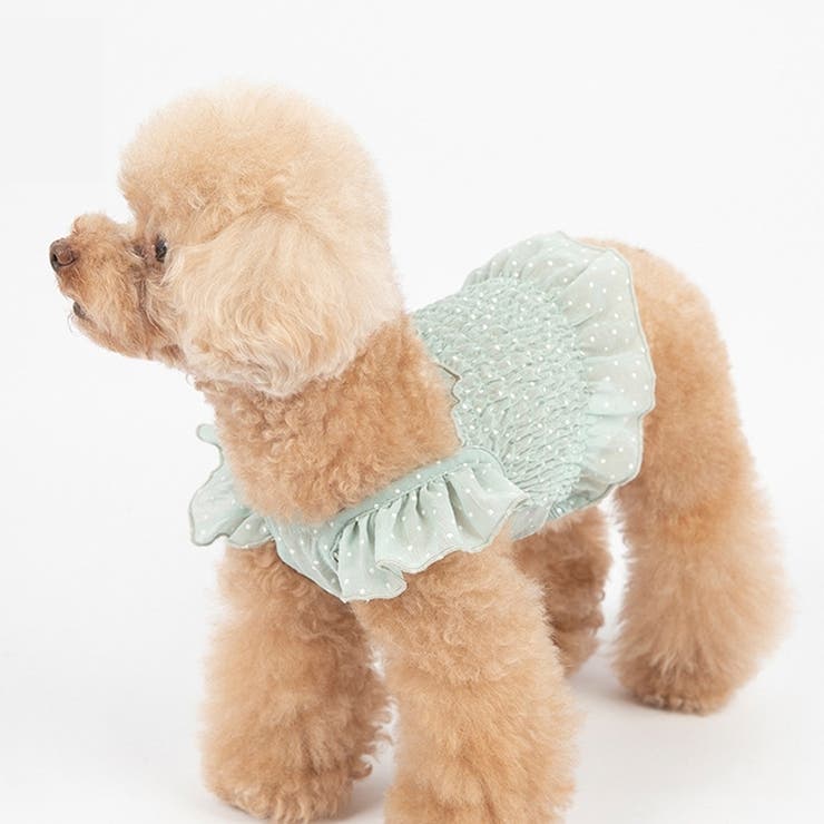 ドッグウェア キャミソール キャミ | PlusNao | 詳細画像10 