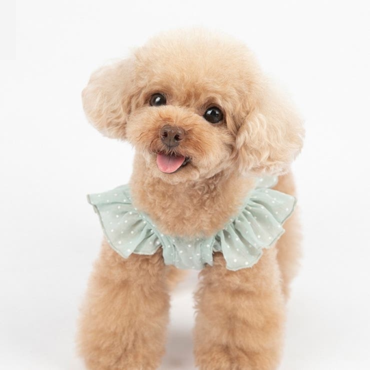 ドッグウェア キャミソール キャミ | PlusNao | 詳細画像11 