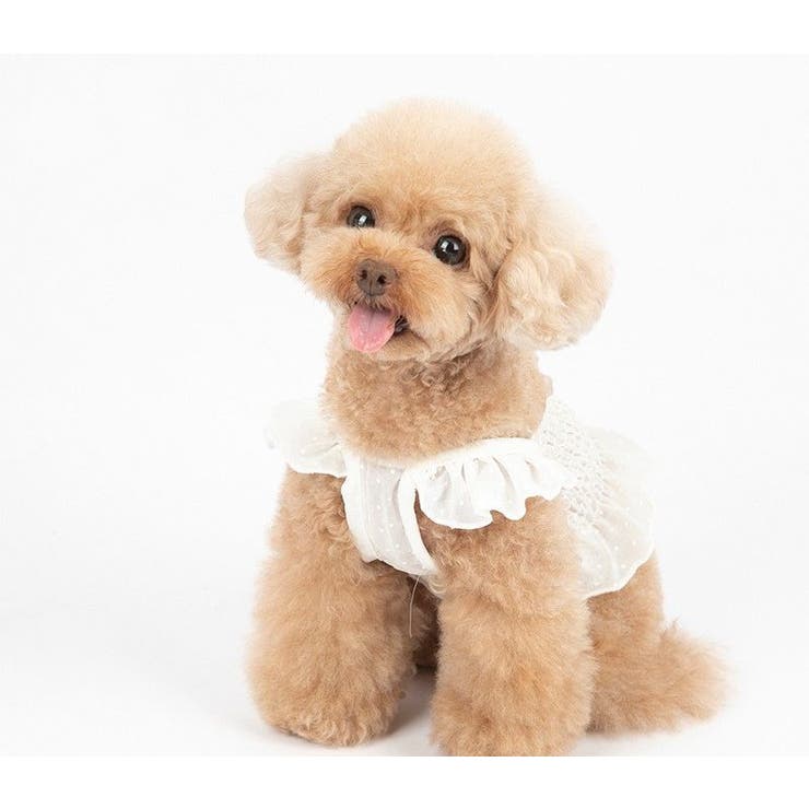 ドッグウェア キャミソール キャミ | PlusNao | 詳細画像2 