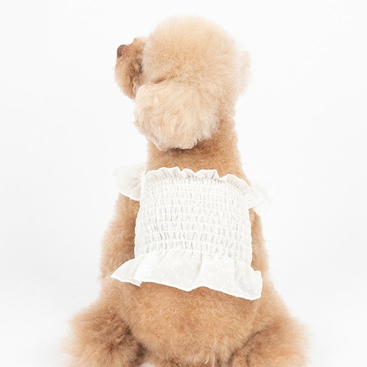 ドッグウェア キャミソール キャミ | PlusNao | 詳細画像3 