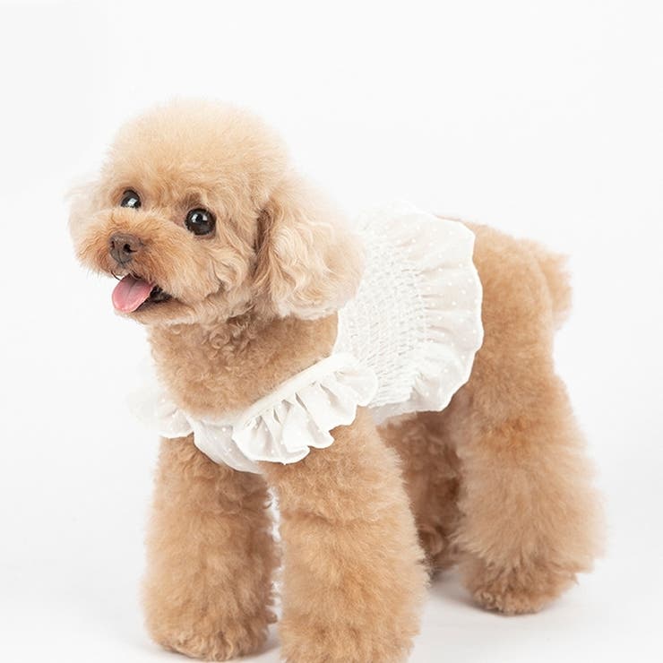 ドッグウェア キャミソール キャミ | PlusNao | 詳細画像5 