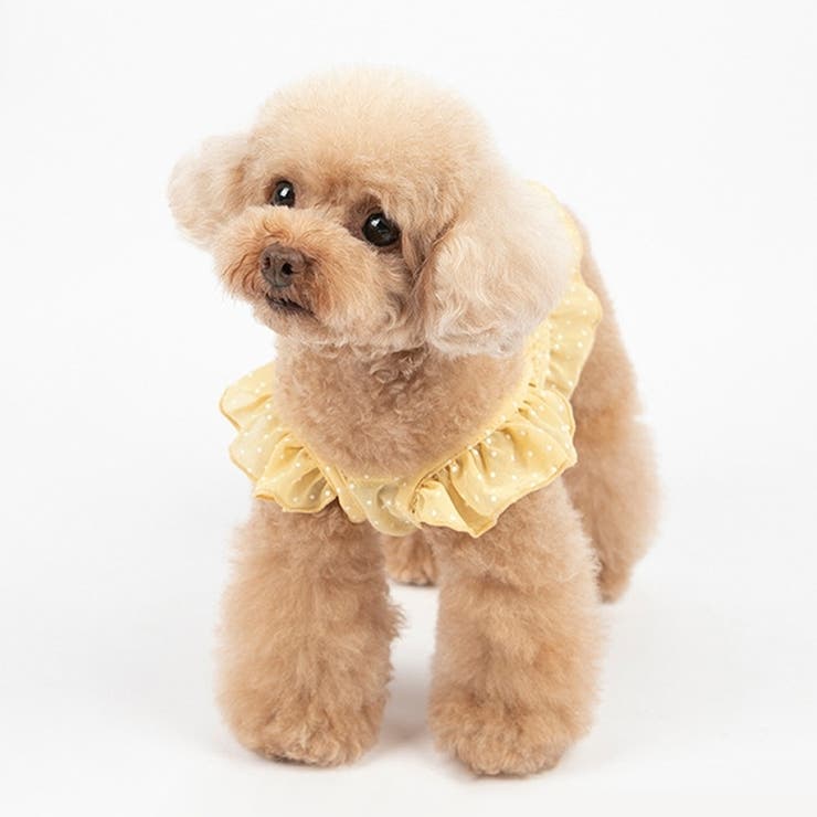 ドッグウェア キャミソール キャミ | PlusNao | 詳細画像7 