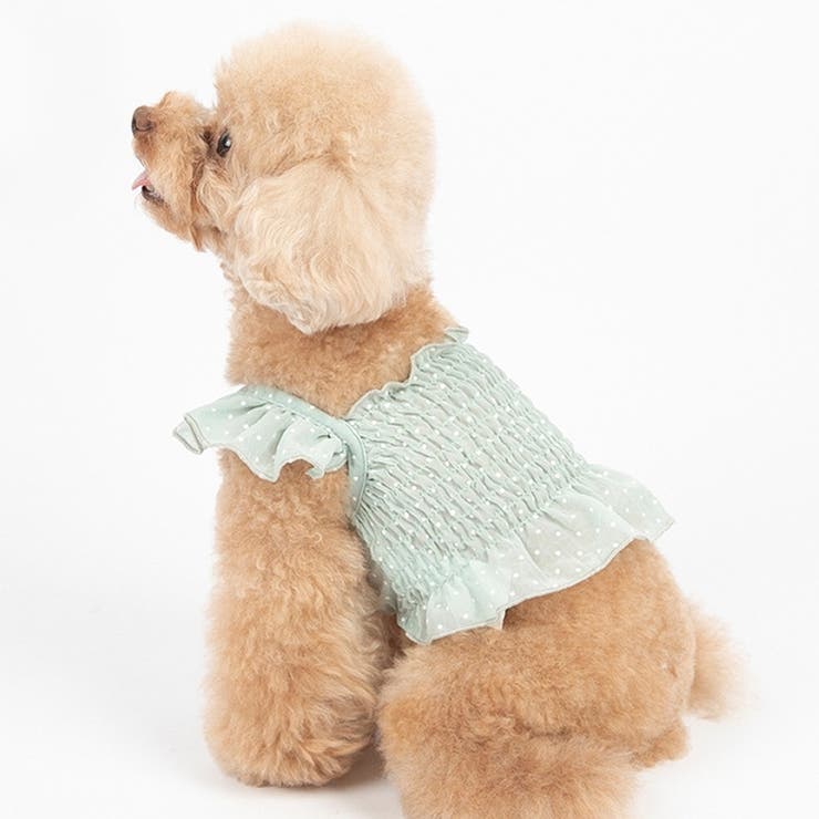 ドッグウェア キャミソール キャミ | PlusNao | 詳細画像9 