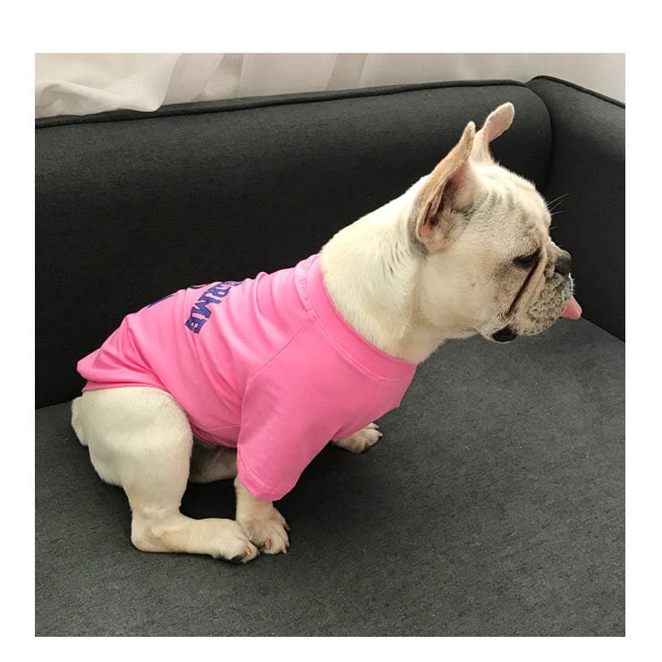 ペット用 犬猫兼用 Tシャツ | PlusNao | 詳細画像11 