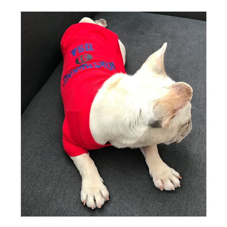 ペット用 犬猫兼用 Tシャツ | PlusNao | 詳細画像13 