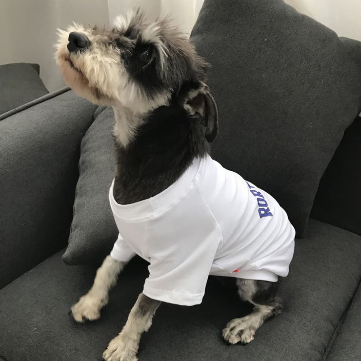 ペット用 犬猫兼用 Tシャツ | PlusNao | 詳細画像15 