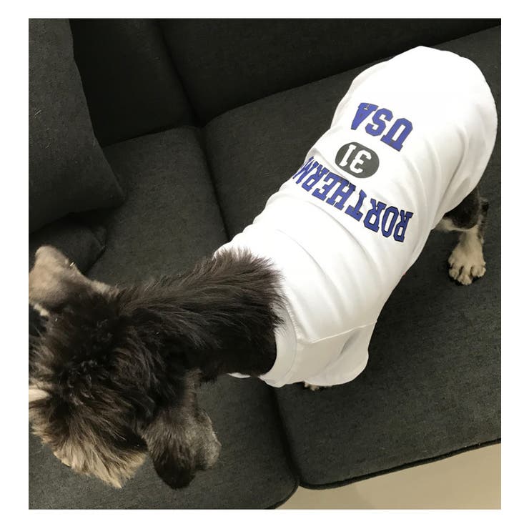 ペット用 犬猫兼用 Tシャツ | PlusNao | 詳細画像16 