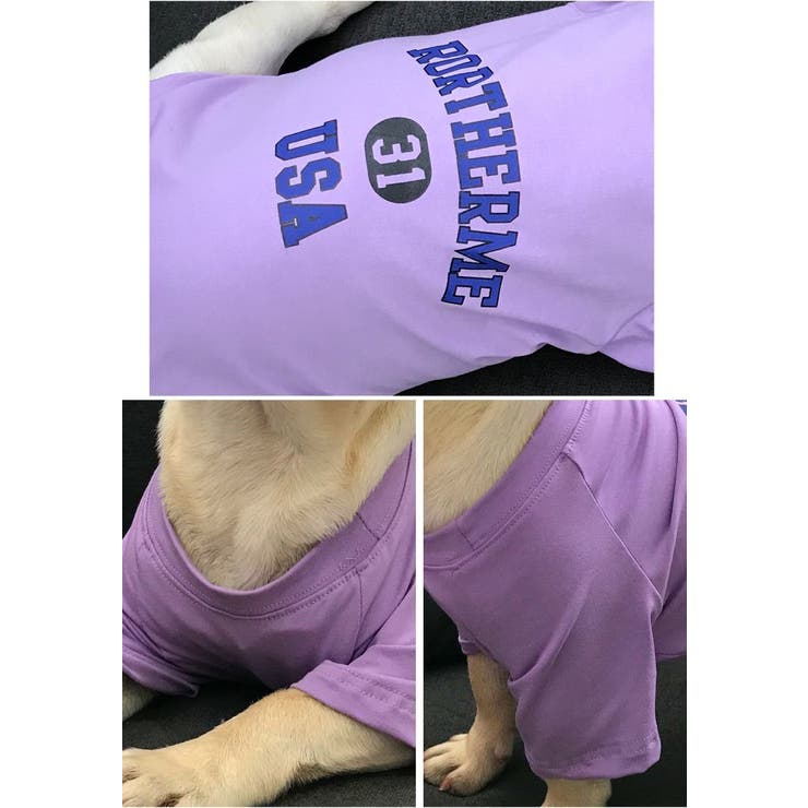 ペット用 犬猫兼用 Tシャツ | PlusNao | 詳細画像17 