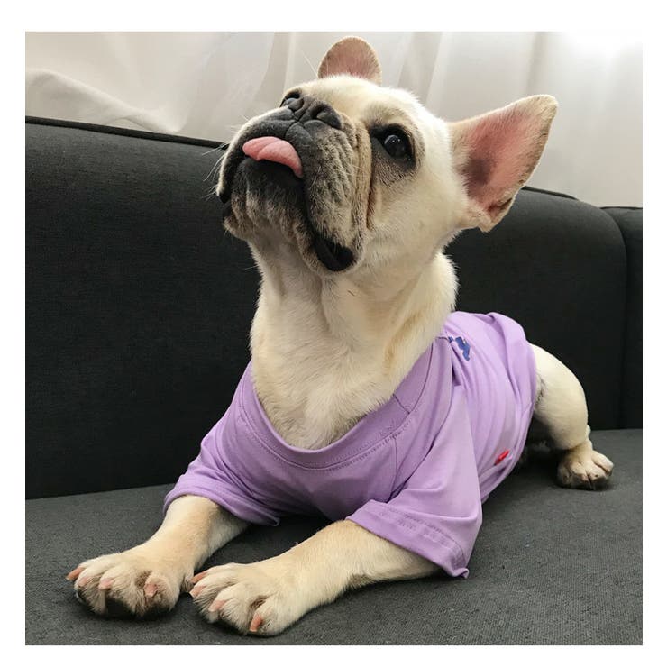 ペット用 犬猫兼用 Tシャツ | PlusNao | 詳細画像8 