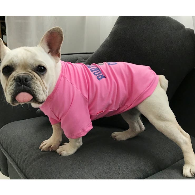 ペット用 犬猫兼用 Tシャツ | PlusNao | 詳細画像9 