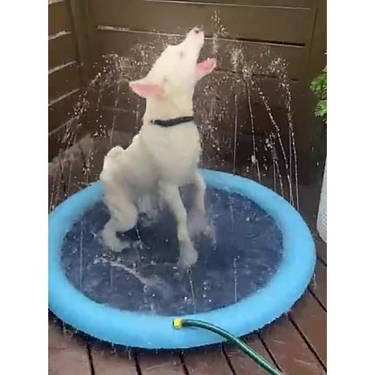 ペット用噴水マット 犬用 直径100cm | PlusNao | 詳細画像3 
