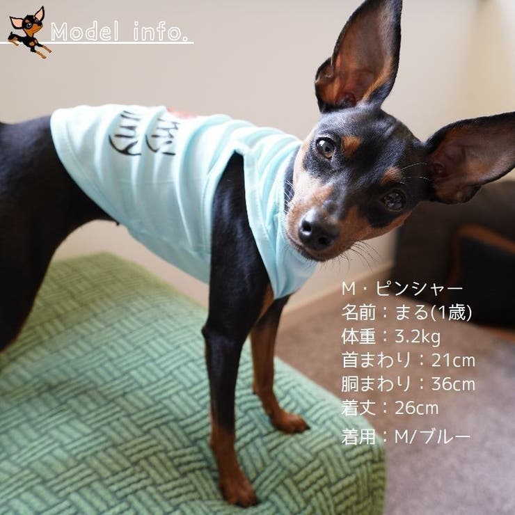 ペット服 タンクトップ ドッグウエア | PlusNao | 詳細画像6 