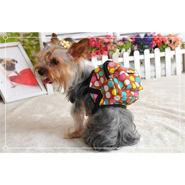 ハーネスリードセット リュックタイプ ペット用 | PlusNao | 詳細画像12 