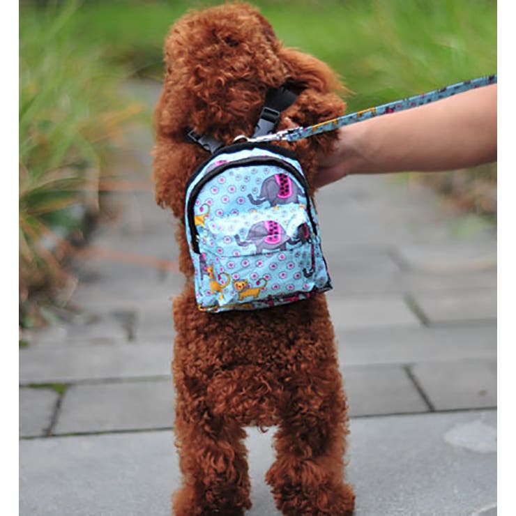 ハーネスリードセット リュックタイプ ペット用 | PlusNao | 詳細画像4 