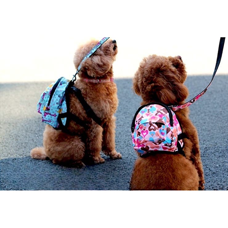 ハーネスリードセット リュックタイプ ペット用 | PlusNao | 詳細画像5 