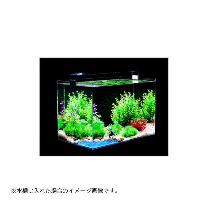 アクアリウム用 人工水草 同色3本セット[品番：FQ000216960]｜PlusNao 