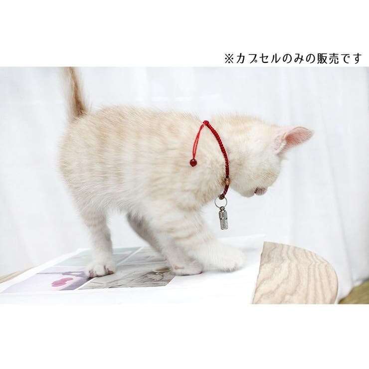 ペット用IDカプセル 猫用 犬用 | PlusNao | 詳細画像3 