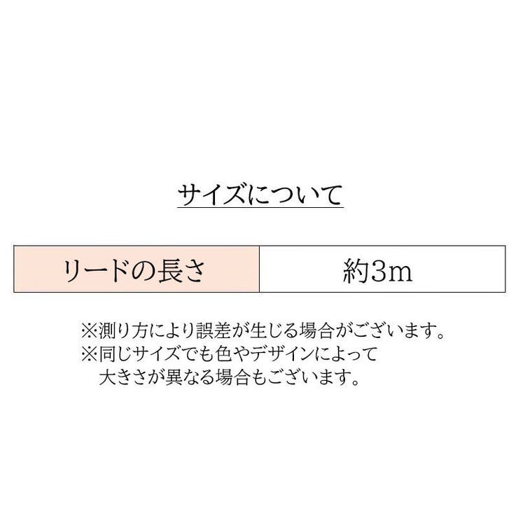 伸縮リード 自動巻き取り式 3m | PlusNao | 詳細画像18