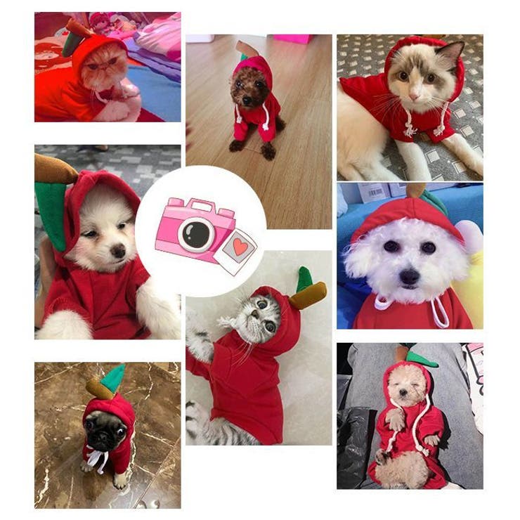 ドッグウェア 犬の服 パーカー | PlusNao | 詳細画像2 