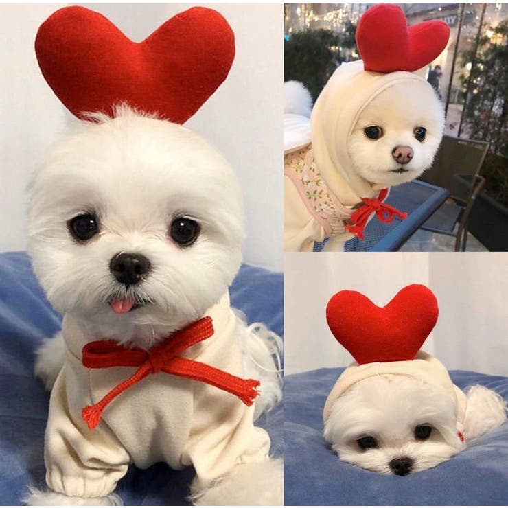 ドッグウェア 犬の服 パーカー | PlusNao | 詳細画像8 