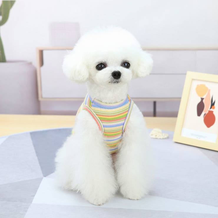 ドッグウエア ペットウェア タンクトップ | PlusNao | 詳細画像2 