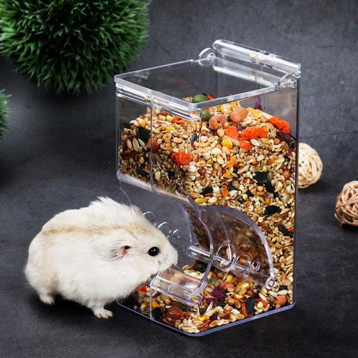 小動物用食器 小動物用エサ入れ 自動給餌器 | PlusNao | 詳細画像2 