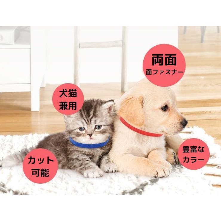 パピーカラー パピーマーカー 12色セット | PlusNao | 詳細画像2 