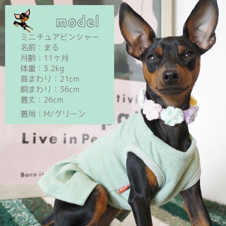 ペット服 ワンピース 犬 品番 Fq Plusnao プラスナオ のレディースファッション通販 Shoplist ショップリスト