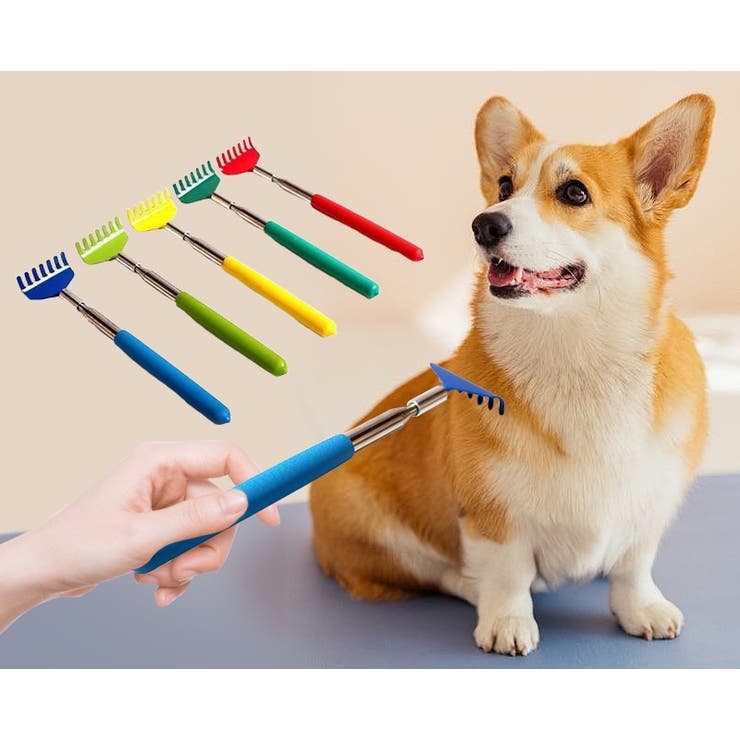 ペット用ブラシ 伸縮式 犬 | PlusNao | 詳細画像2