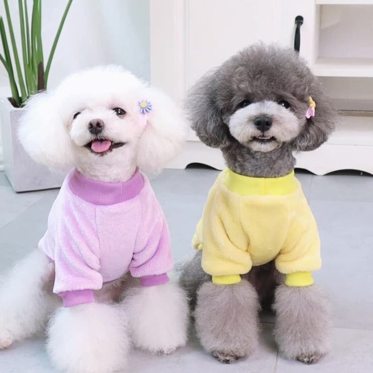 ドッグウェア 犬服 長袖トレーナー | PlusNao | 詳細画像4 