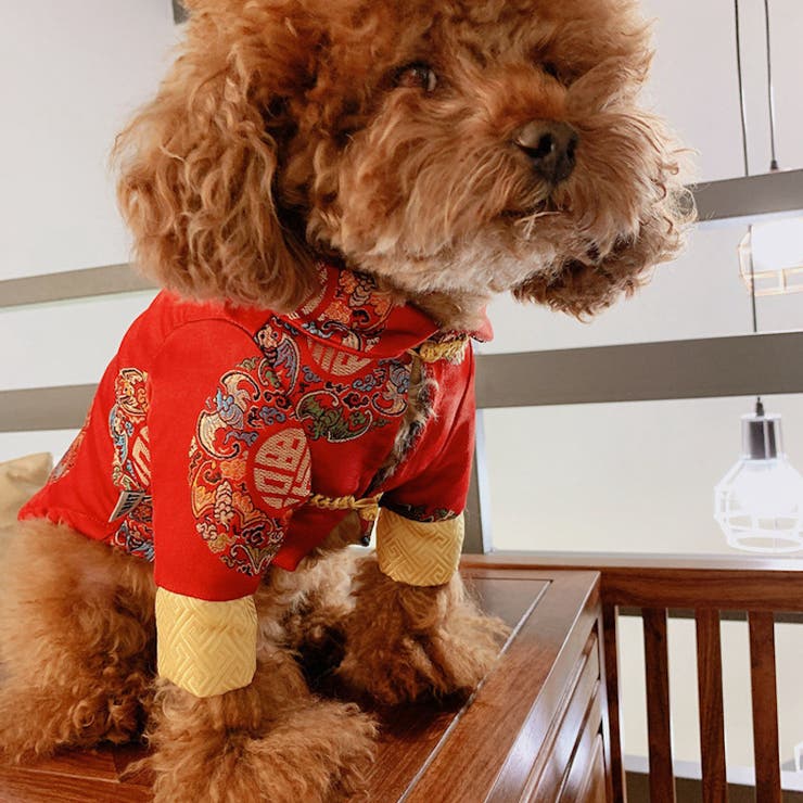ドッグウェア チャイナ服 犬服 | PlusNao | 詳細画像2 