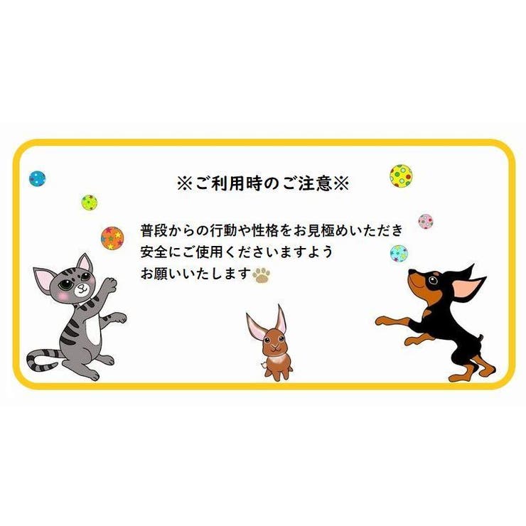 ペット用おもちゃ 噛むおもちゃ ロープ | PlusNao | 詳細画像6 