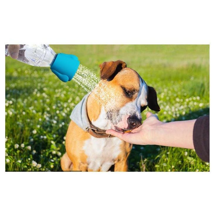 ペット用シャワーヘッド ペットボトル用ジョウロ 犬 | PlusNao | 詳細画像2 